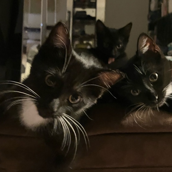 Meet your Posher, Margaret C - Picture 6 of 8